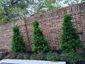 Кирпичный забор сплошной 12 метров фото в Калининеце